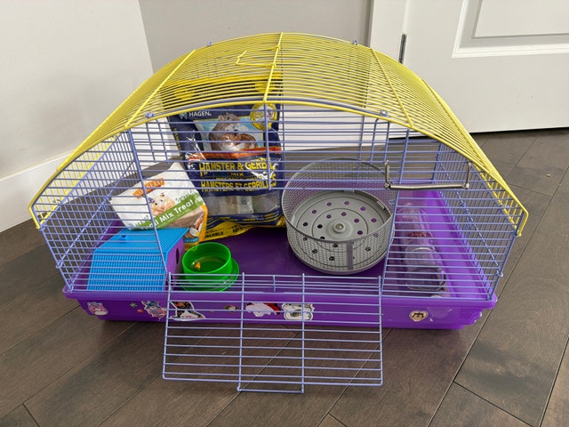 Hamster cage with upgraded water bottle and wheel