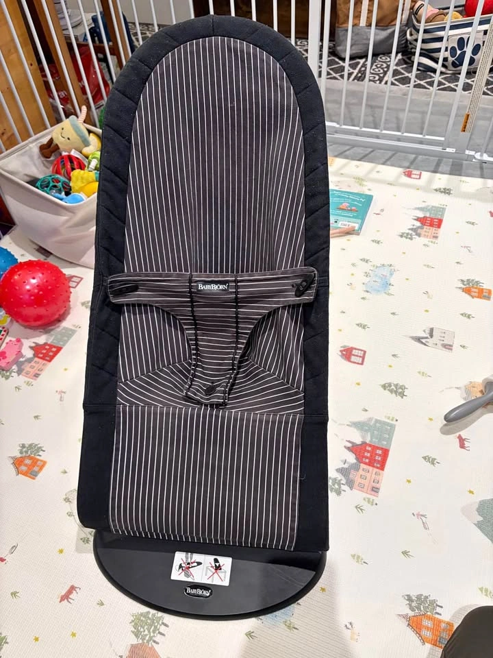 Babybjorn Bouncer