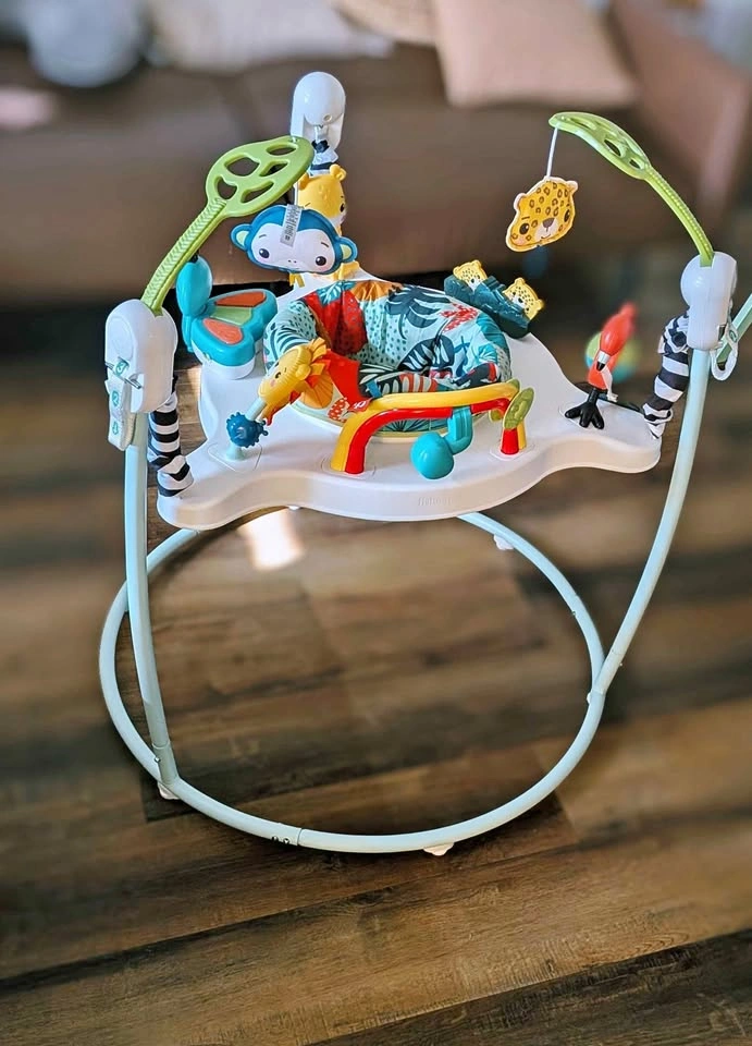Fisher-Price Jumperoo Baby Activity Center
