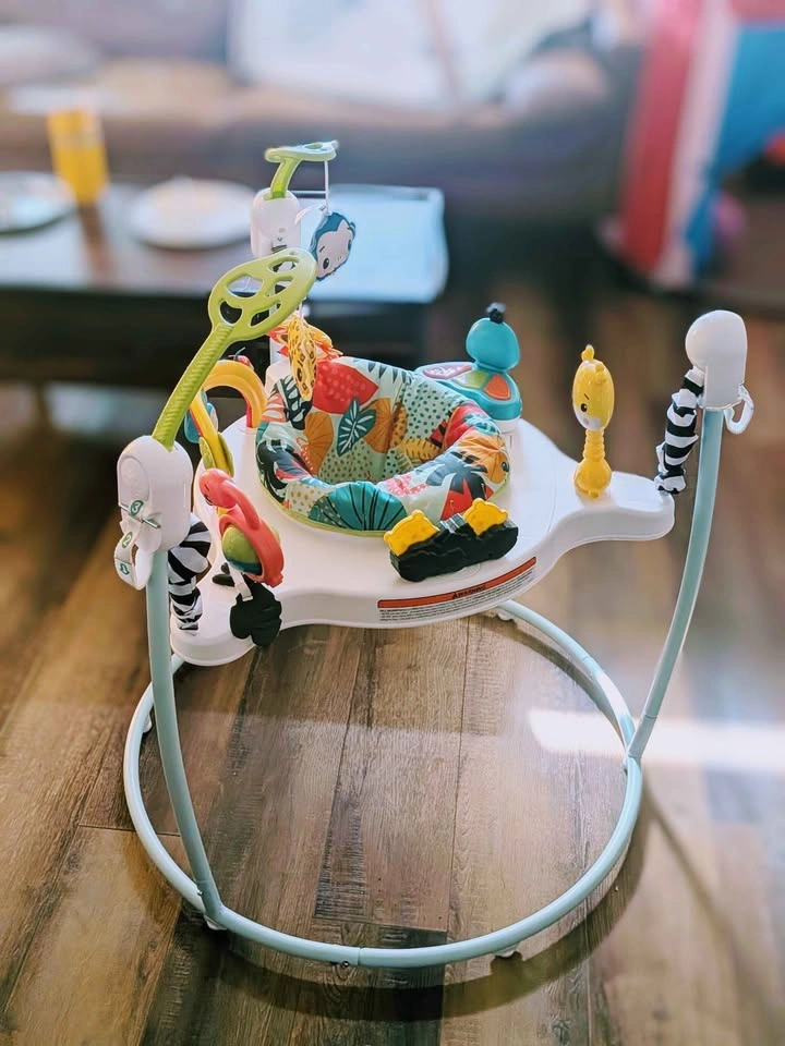 Fisher-Price Jumperoo Baby Activity Center - photo 2