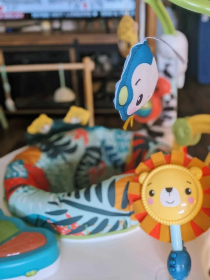 Fisher-Price Jumperoo Baby Activity Center - photo 3