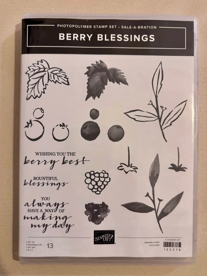 Summer Garden Stampin' Up! Lot, 6 sets - photo 3