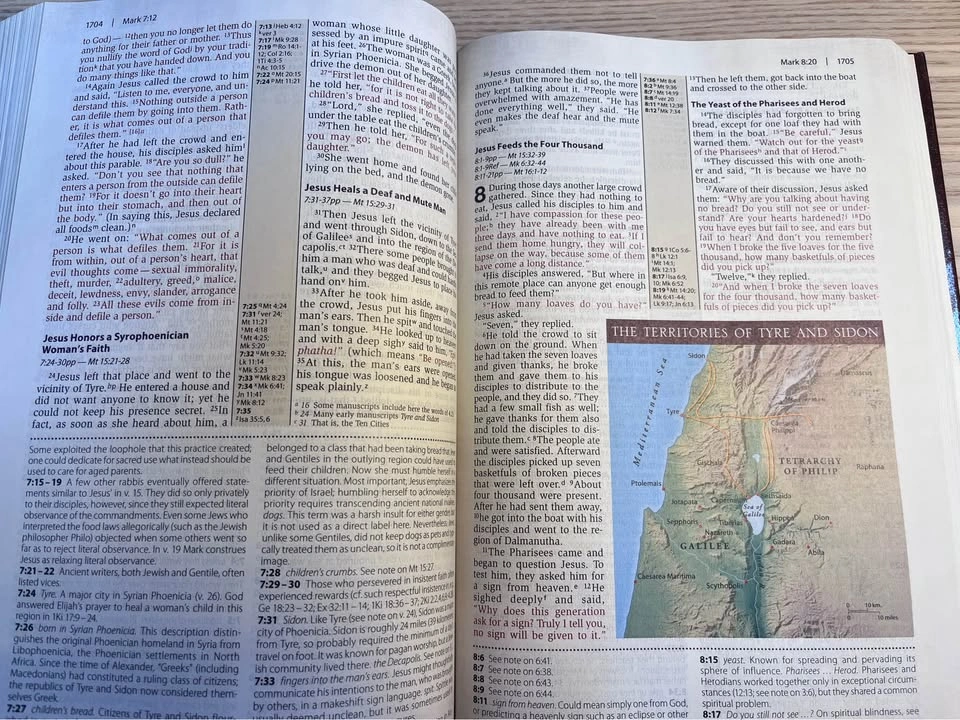 NIV Cultural Backgrounds Study Bible New International Version - photo 4