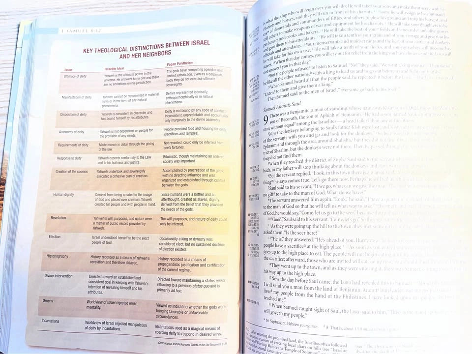 Zondervan NIV Archaeological Study Bible - photo 4