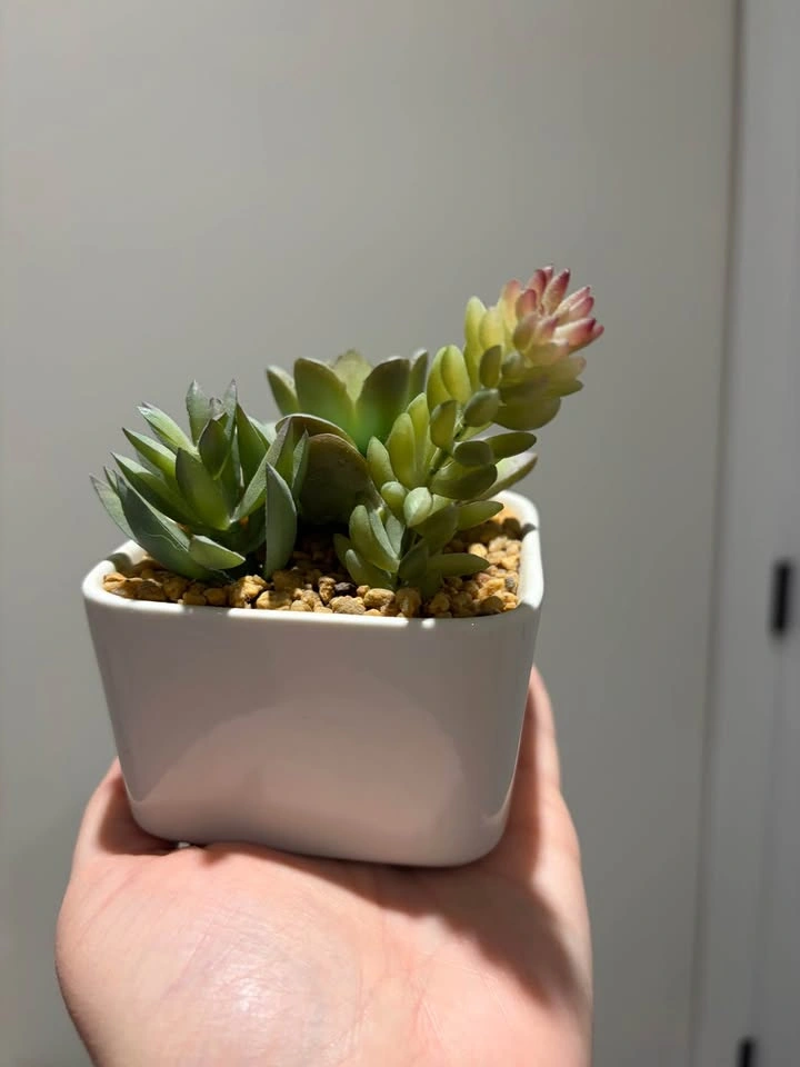 Artificial Potted Succulent - photo 2