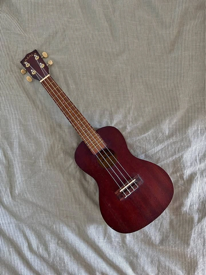 Makala Concert Ukulele MK-C