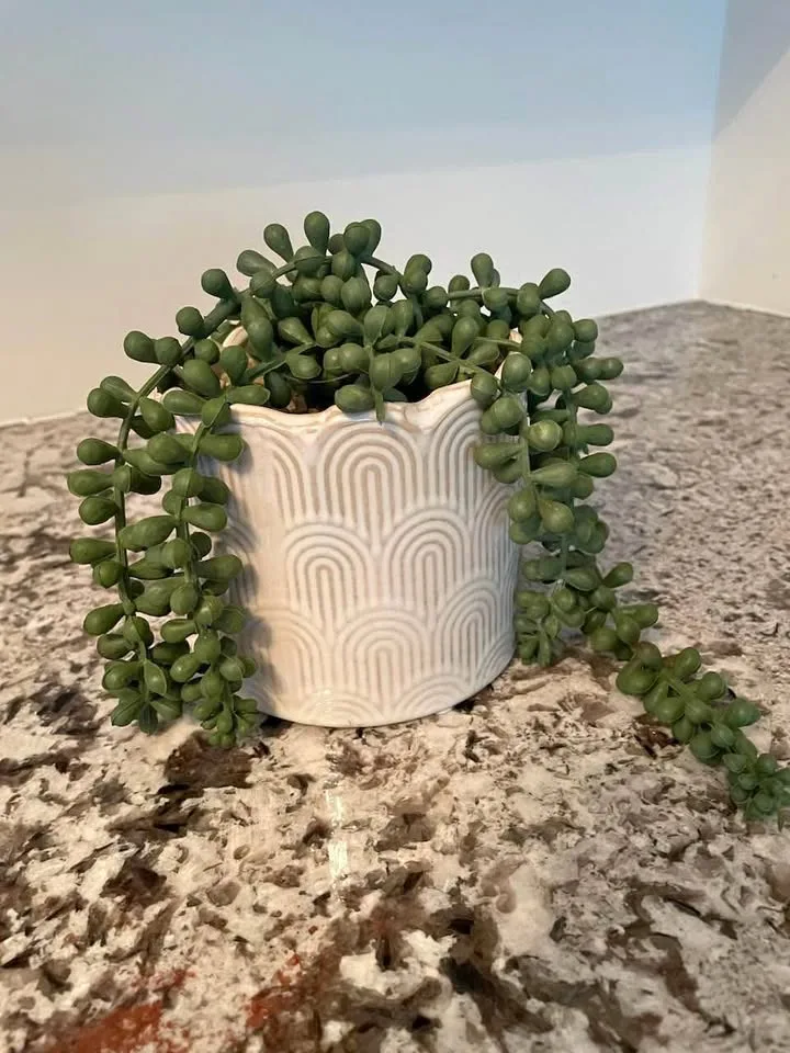 Small plant - Artificial thumbnail