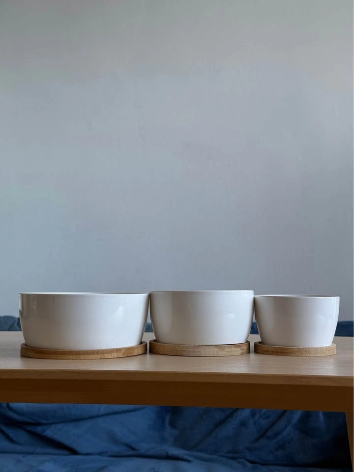 Set of plant pots 🪴 - photo 2