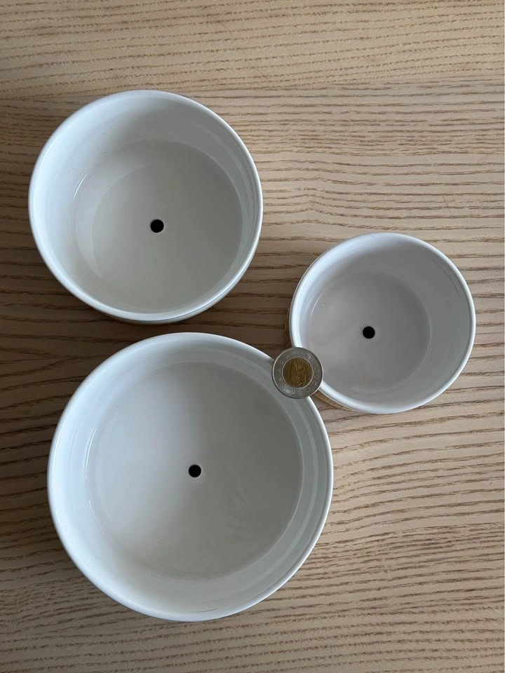 Set of plant pots 🪴 - photo 3