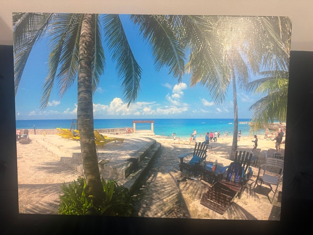 Tropical Beach Canvas/Wall Art for Home or Office