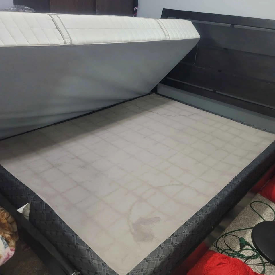 Queen Bed Frame + Mattress + Box Spring Set - Taradale NE - photo 5