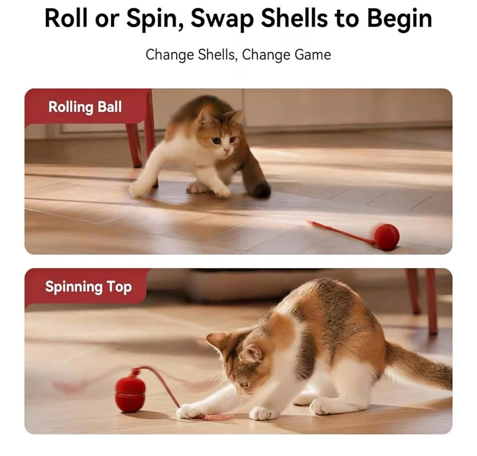 USB Rechargeable Cat Toy