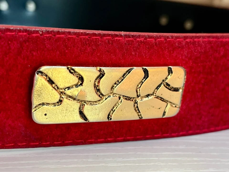 Vintage Red Suede Belt w/ Gold Tone Accent Plates - photo 2