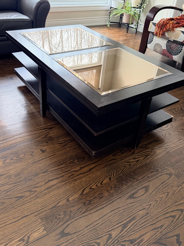 Sleek Dark Finish Coffee Table with Glass Top and Shelf