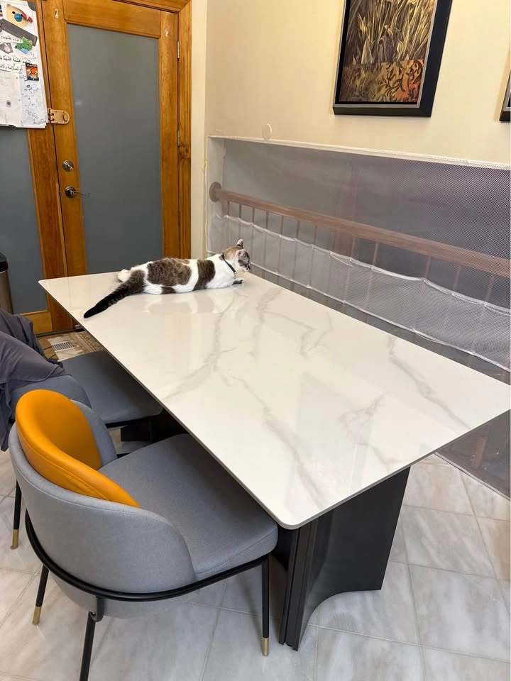 Beautiful Re-enforced Ceramic Dining Table - photo 3