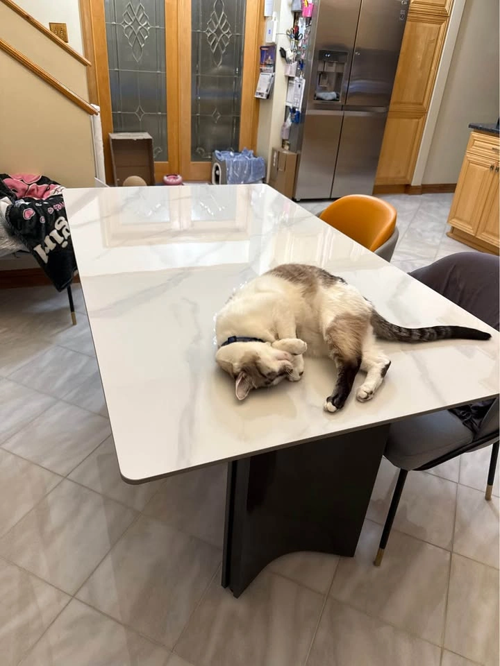 Beautiful Re-enforced Ceramic Dining Table - photo 4