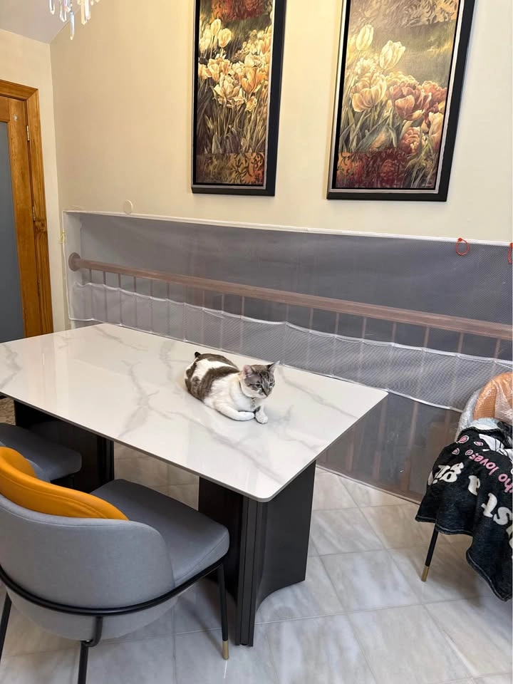 Beautiful Re-enforced Ceramic Dining Table - photo 5