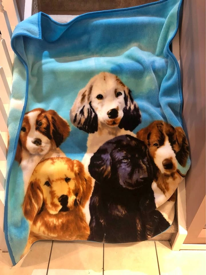 Dogs Biederlack Blanket