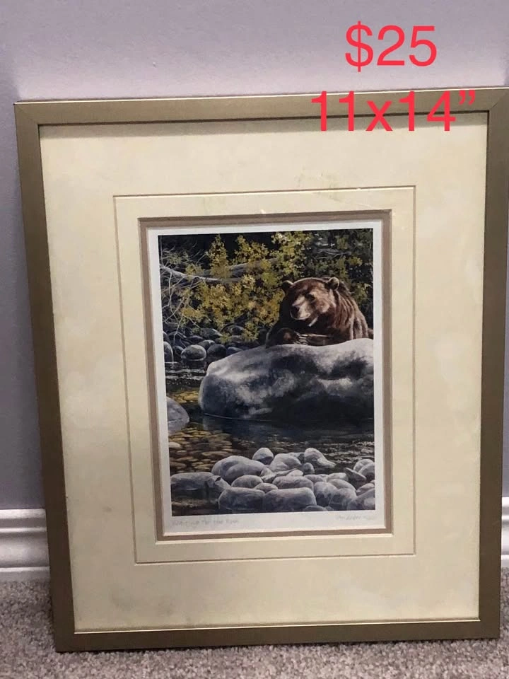 Framed Art Pieces - photo 5