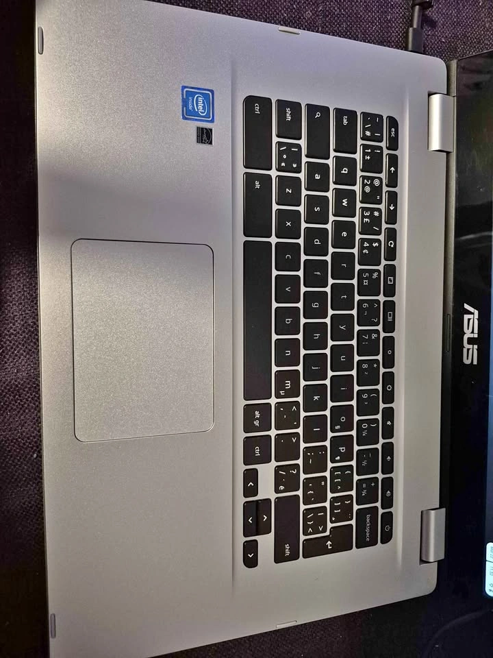 Asus Chromebook C523