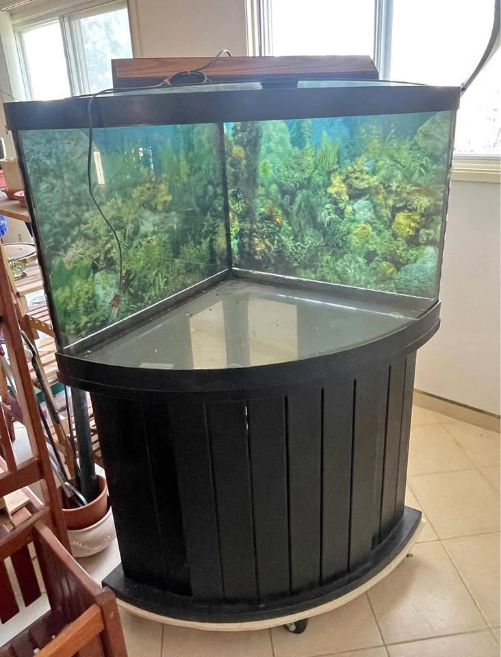 Corner Fish Tank