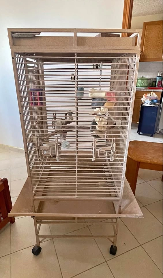 Large Bird Cage