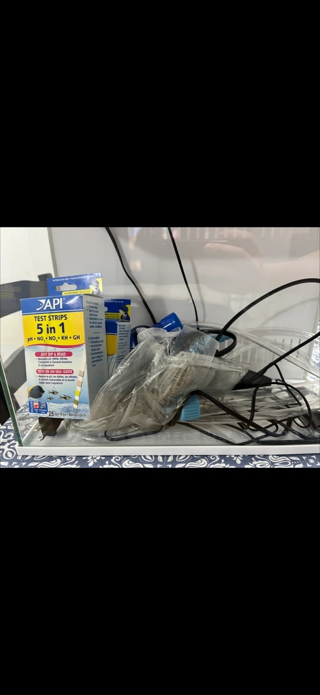 Aquarium and Supplies - photo 4