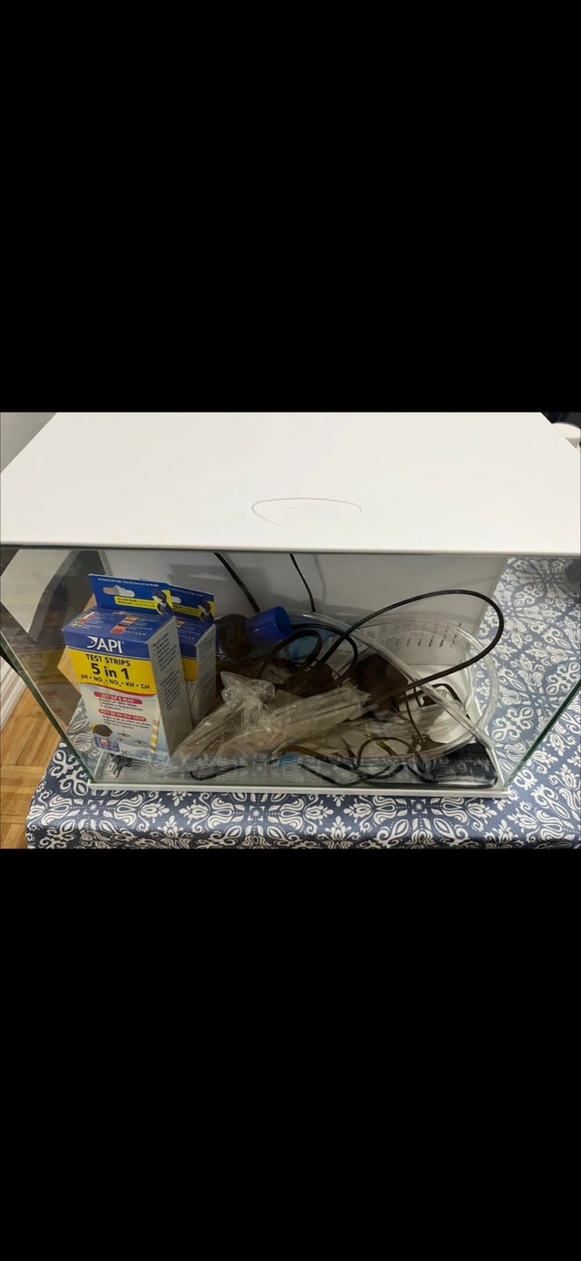 Aquarium and Supplies - photo 5