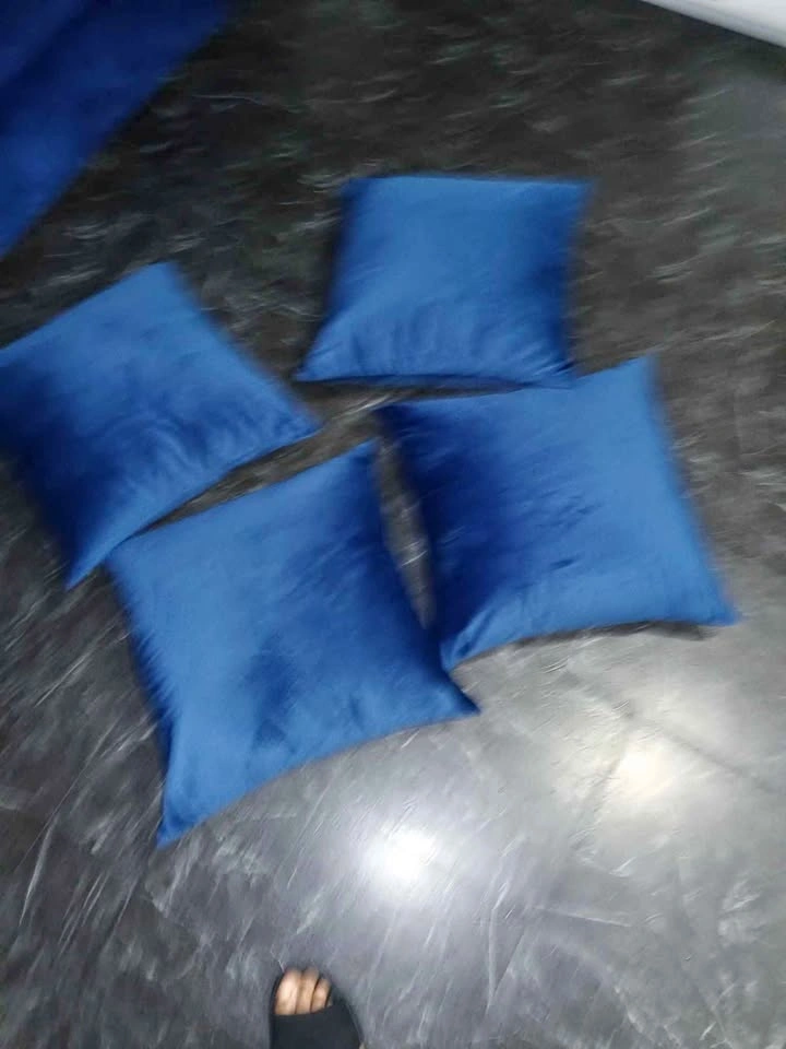 4 Throw Pillows with Royal Blue Covers