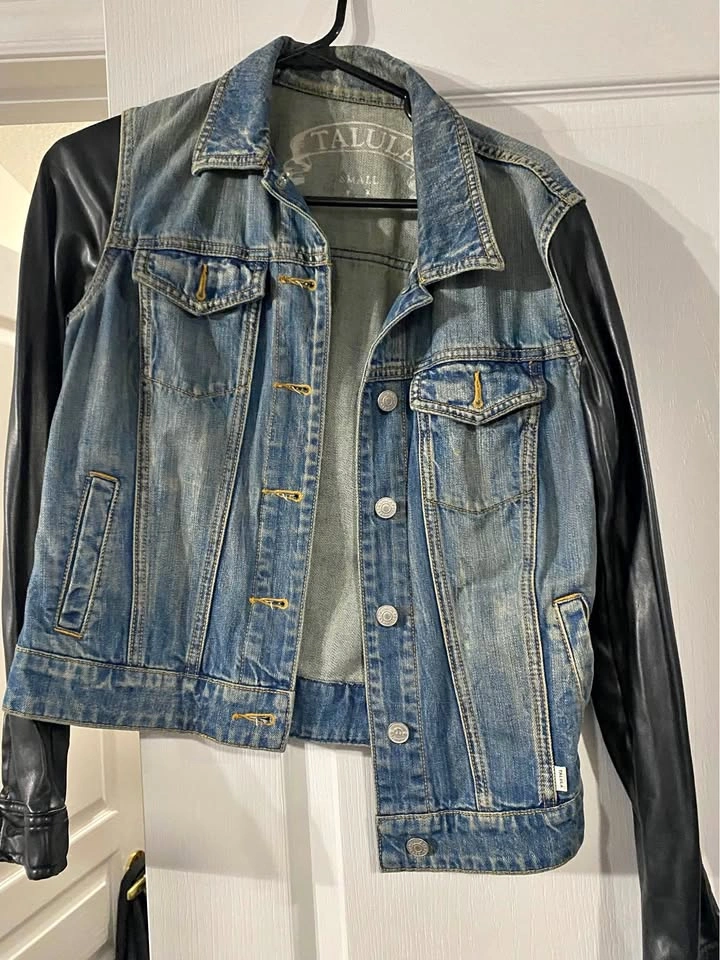 Talula Aritzia jacket