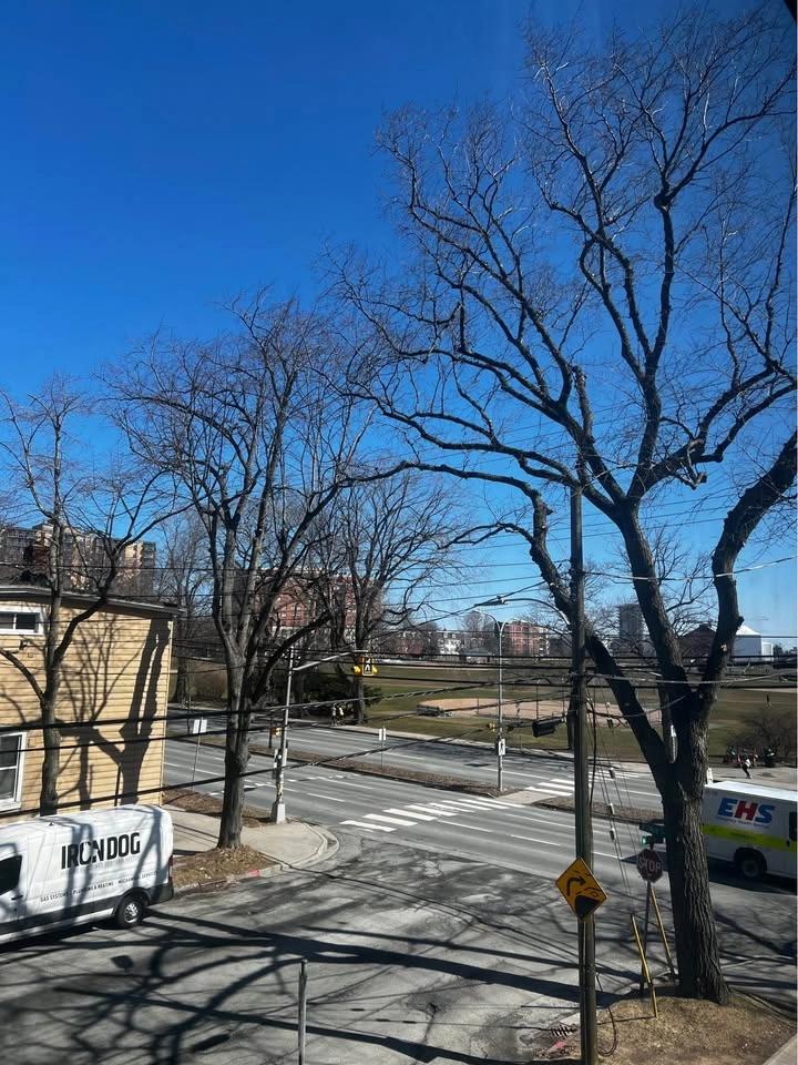 1 Bed 1 Bath Apartment/Condo for Lease Takeover