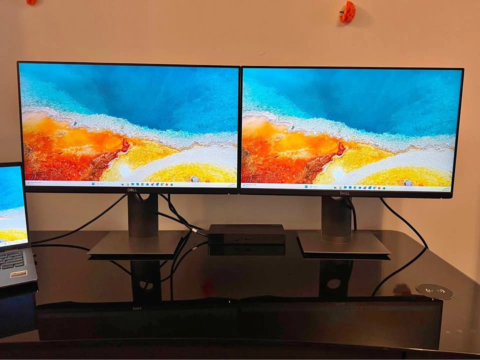 Dell Monitor 24 inch