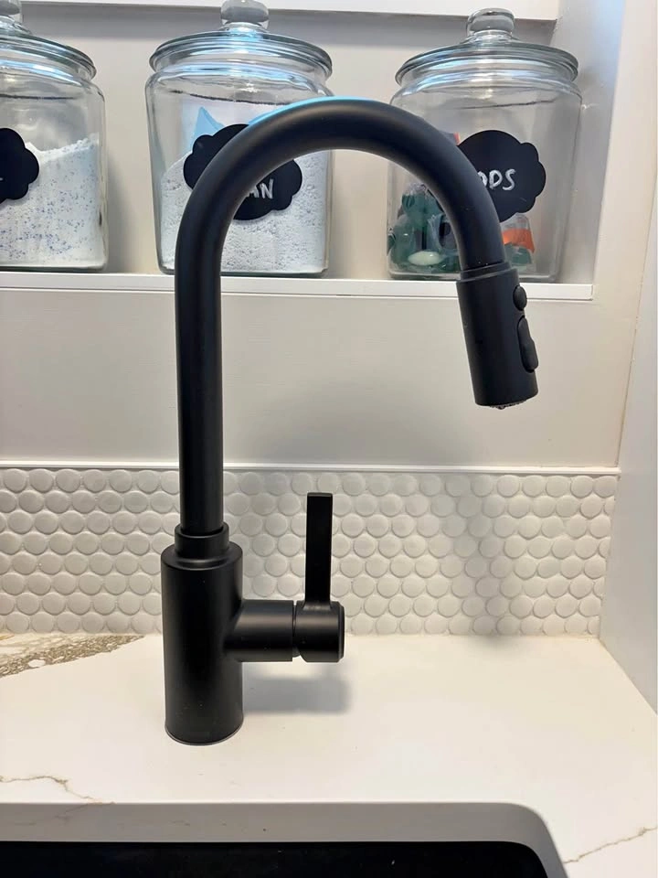 Moen Kitchen Faucet