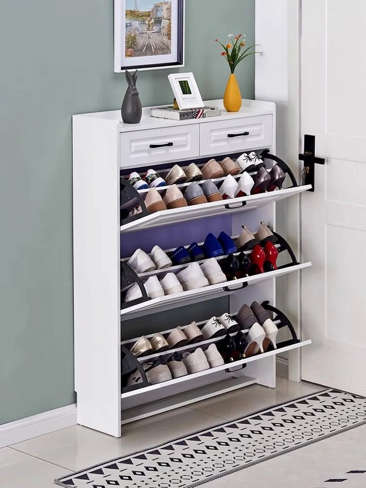 Brand New Simply Modern Shoe Cabinet with Drawer