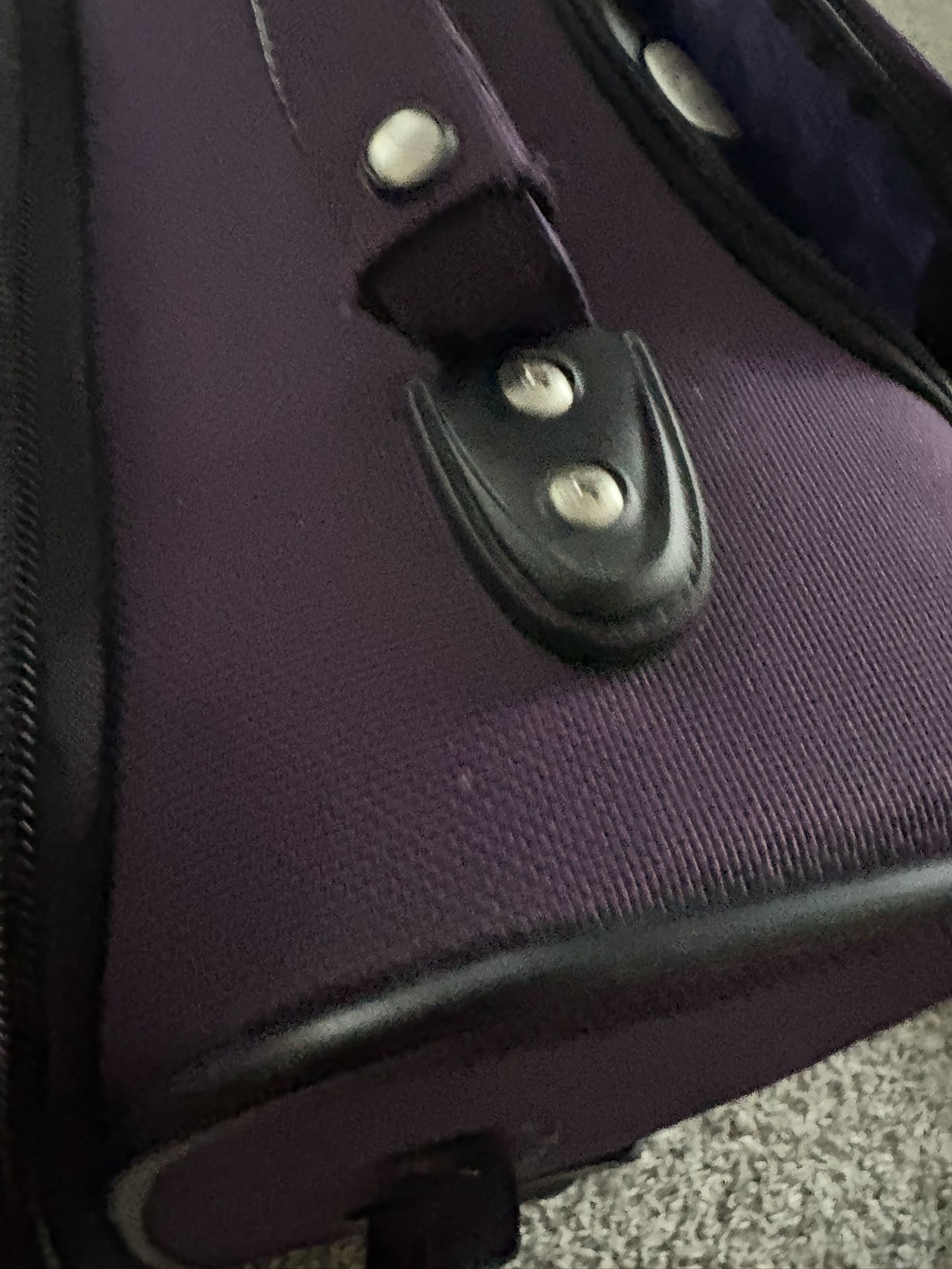 Ricardo Carry On Used Twice $40 - photo 3