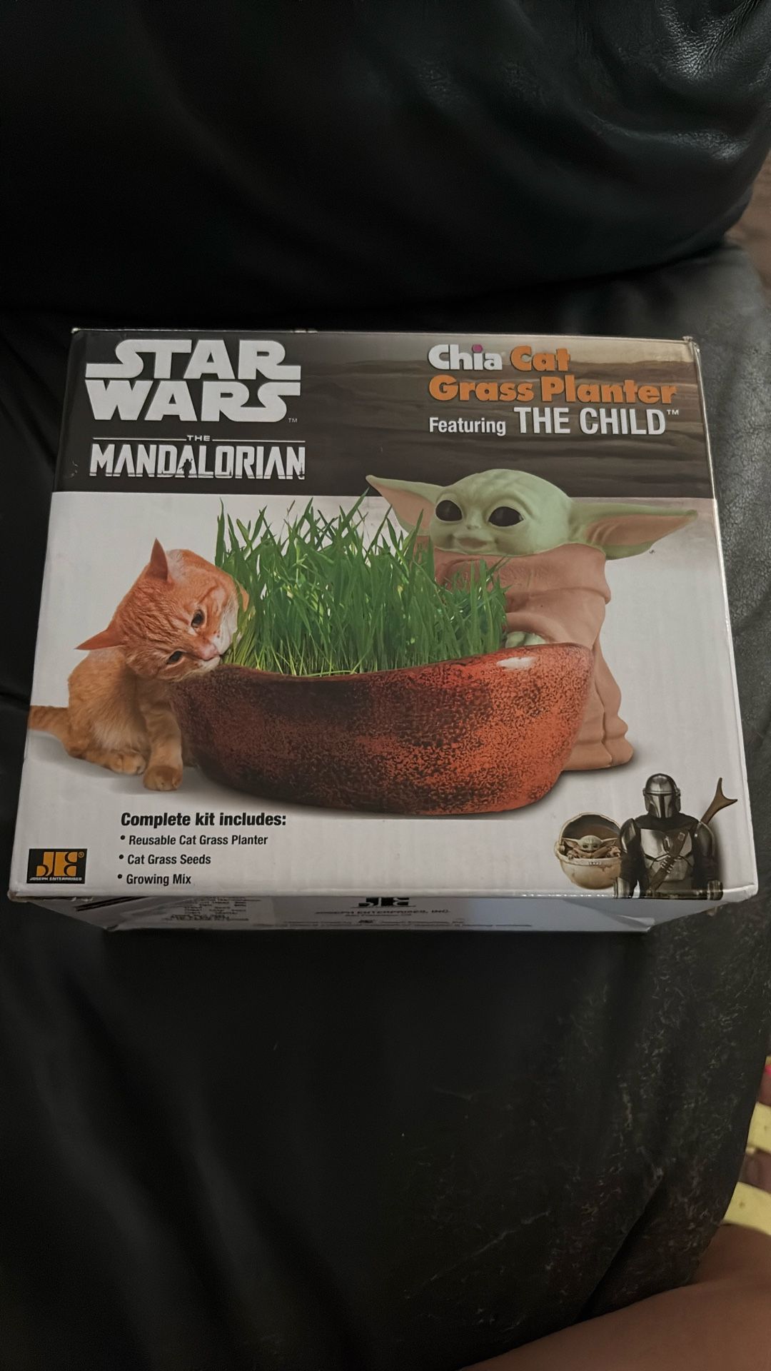 Star Wars Chia Cat Grass Planter