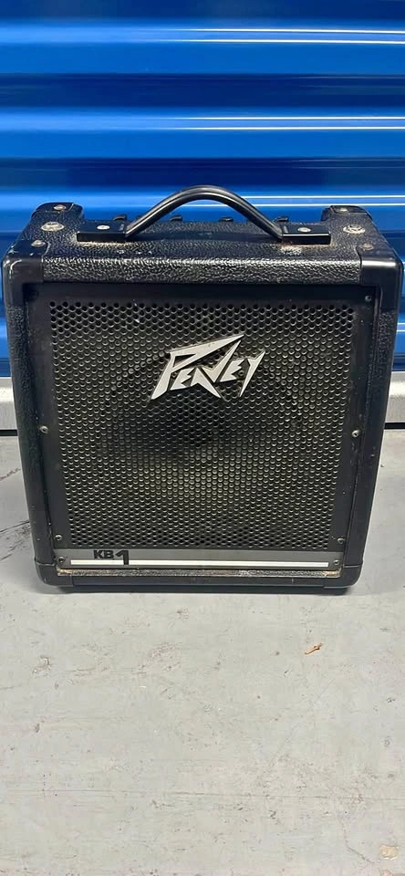 Peavy Aux Speaker