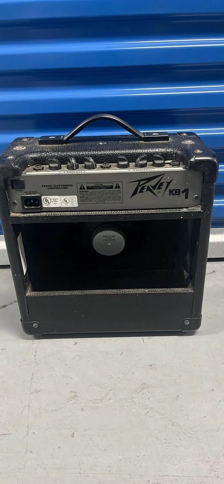 Peavy Aux Speaker - photo 3