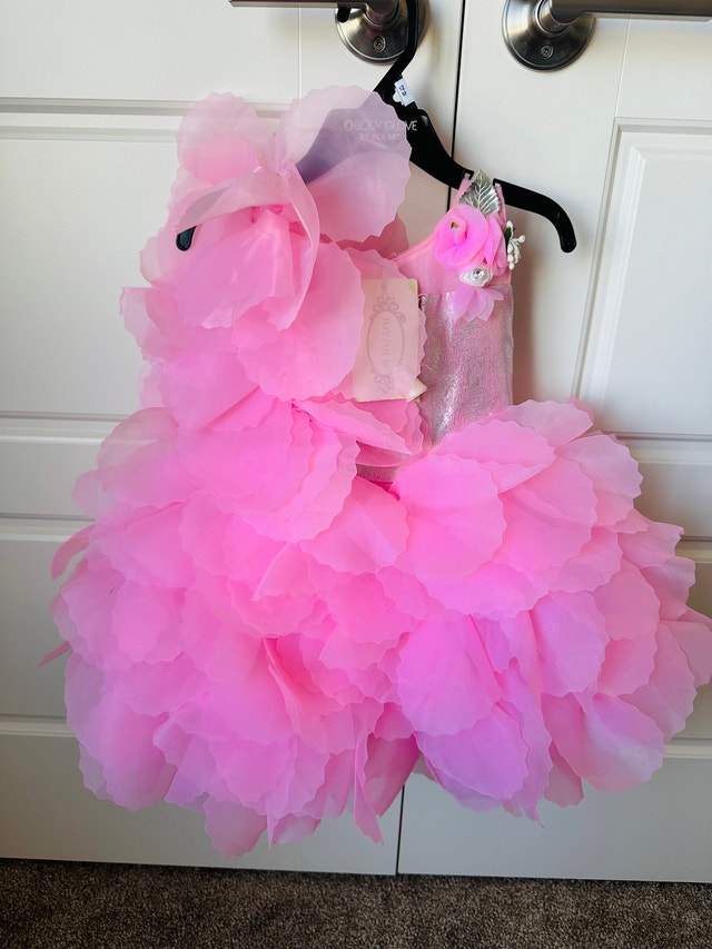 Brand New Baby Dress - 1 Year Old