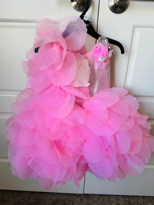 Brand New Baby Dress - 1 Year Old - photo 4