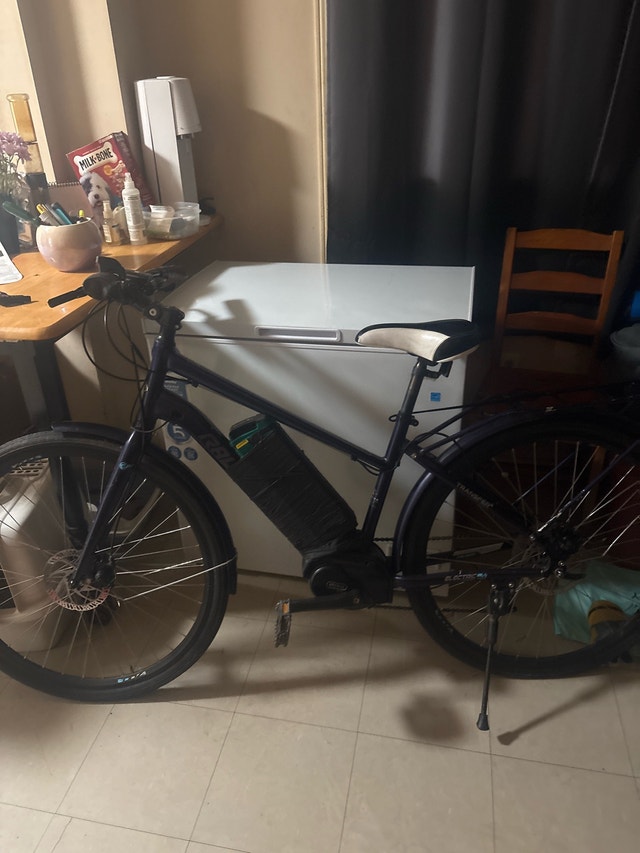 Rize E-Bike