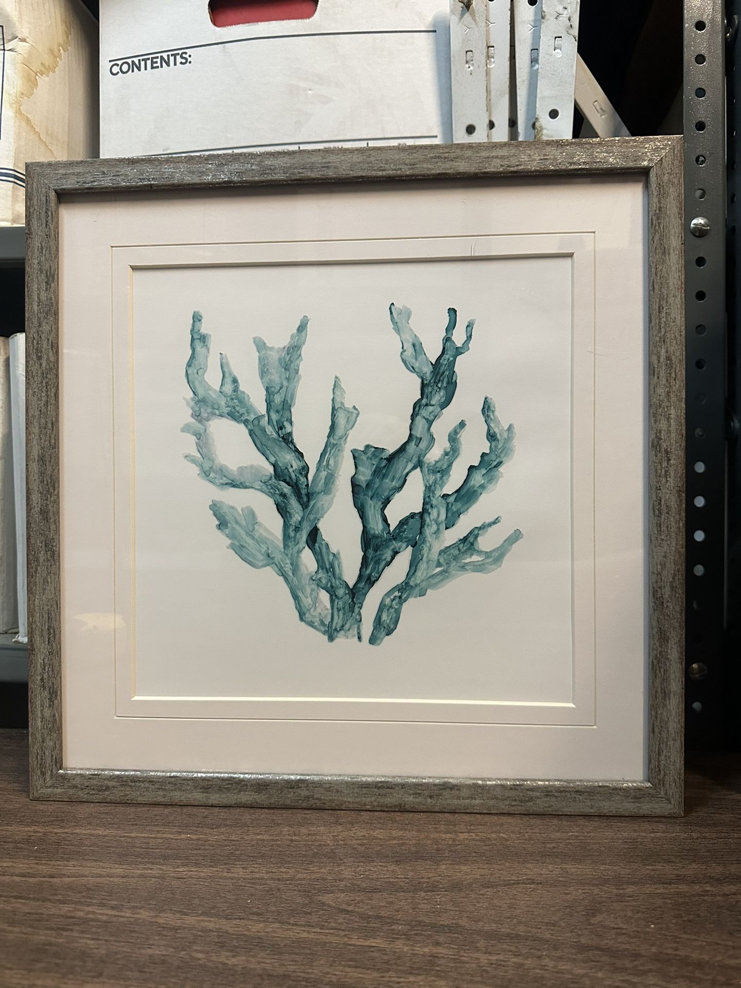 Sea Coral II - Fine Art Print