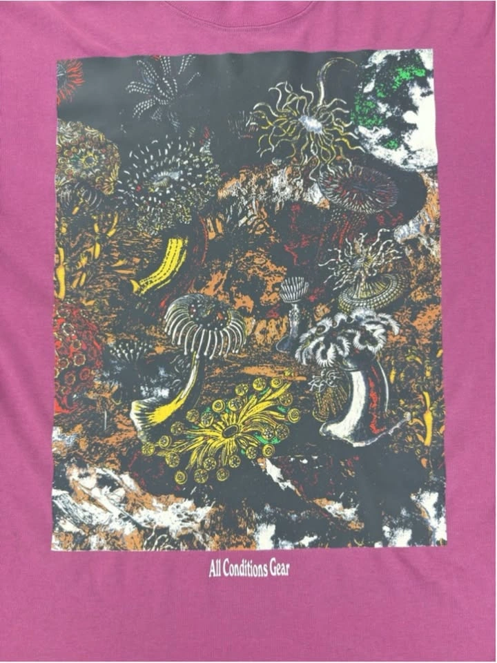 Nike ACG Tide Pool Graphic T-Shirt Men's XS - photo 3