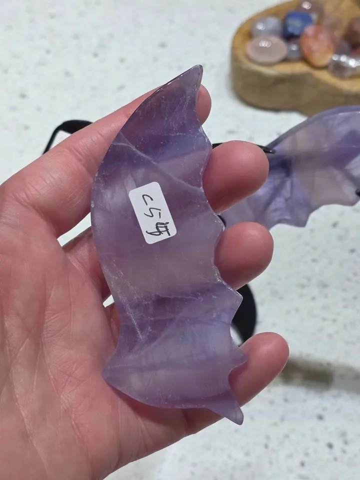 FLUORITE Wings - photo 4