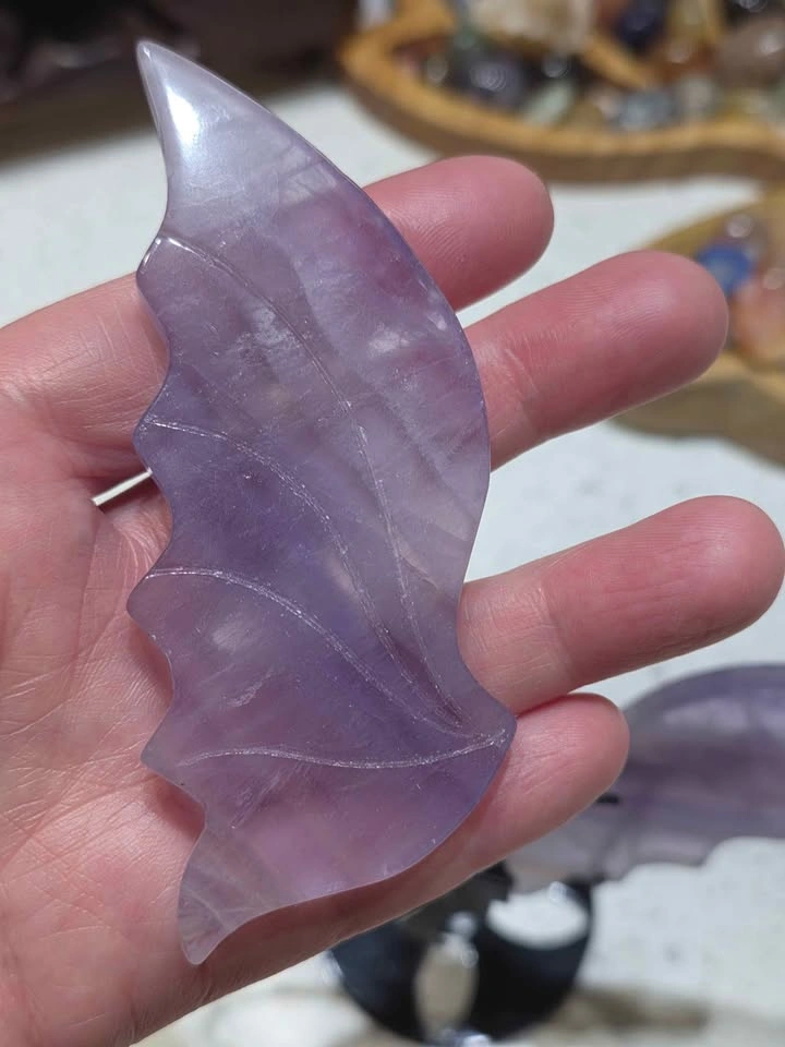 FLUORITE Wings - photo 4
