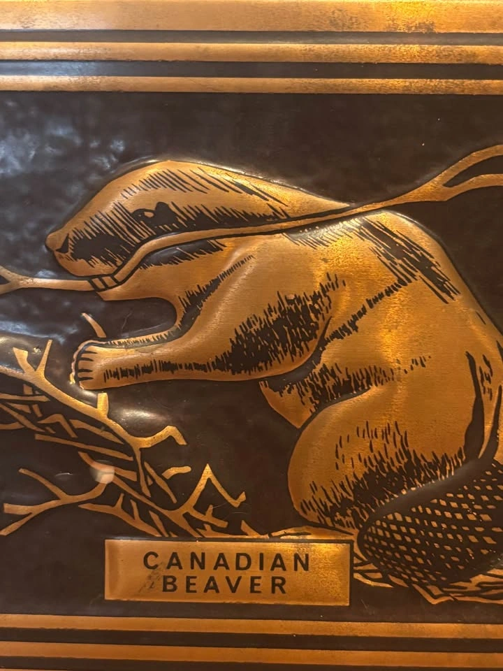 Copper Art 'Canadian Beaver’ Kroy Screen Studios LTD Canada - photo 2