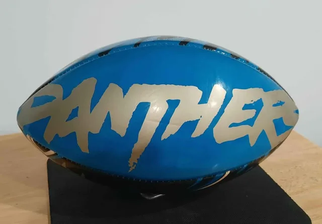 Wilson NFL Carolina Panthers Football image indicator(2)