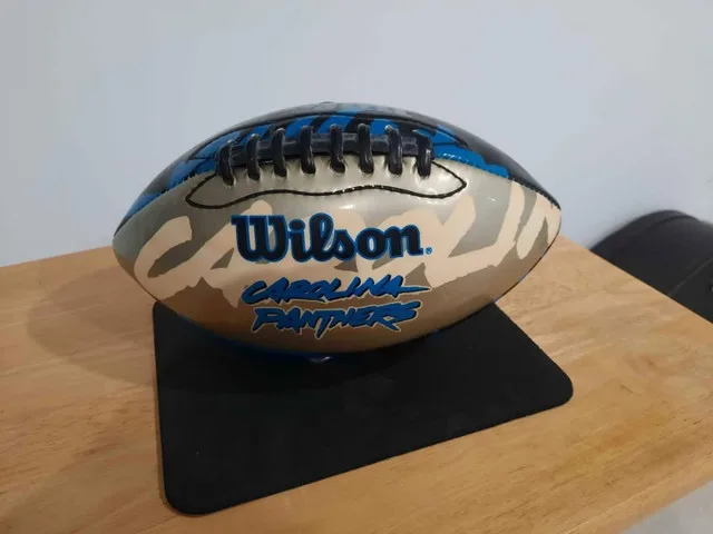 Wilson NFL Carolina Panthers Football image indicator(5)