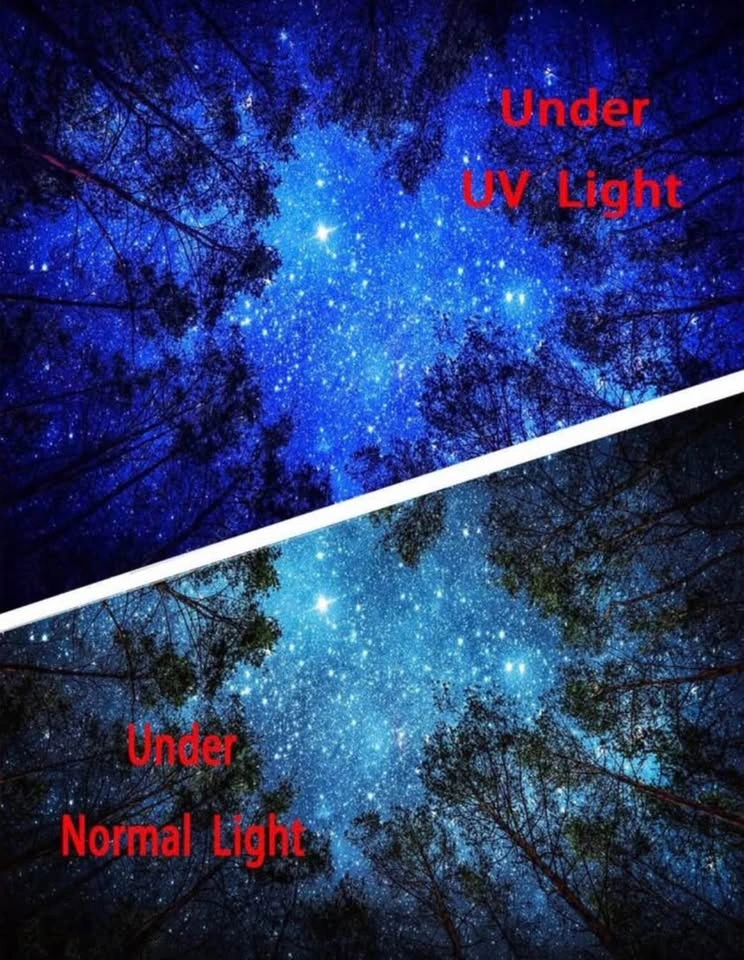 UV Reactive Tapestry - Multicolor - photo 3