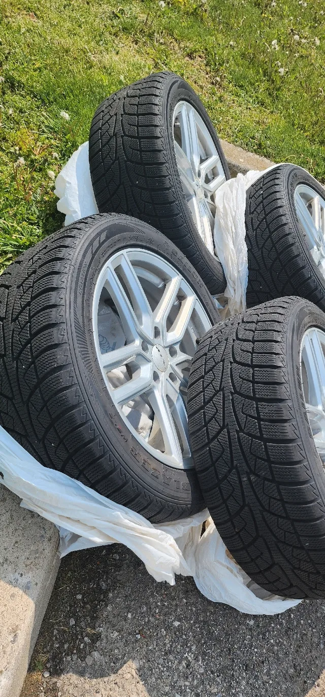 Stylish Winter Rims and Tires image indicator(3)